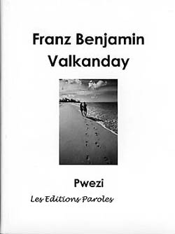 The cover illustration of Valkanday, by Franz Benjamin