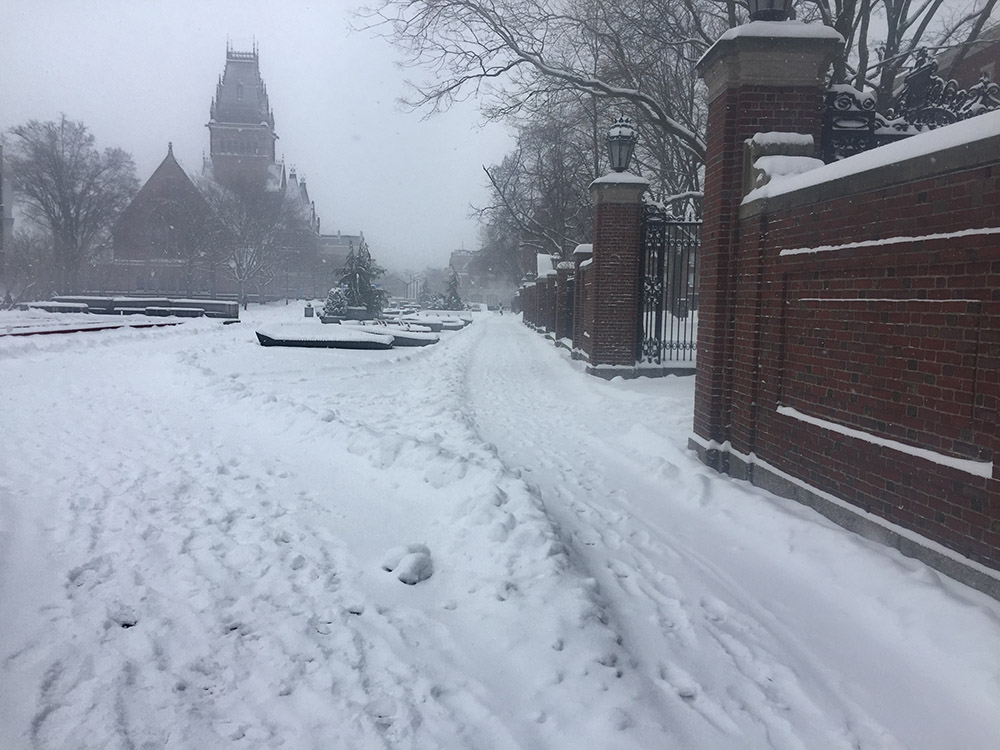 Harvard University during the snowstorm of February 2022.