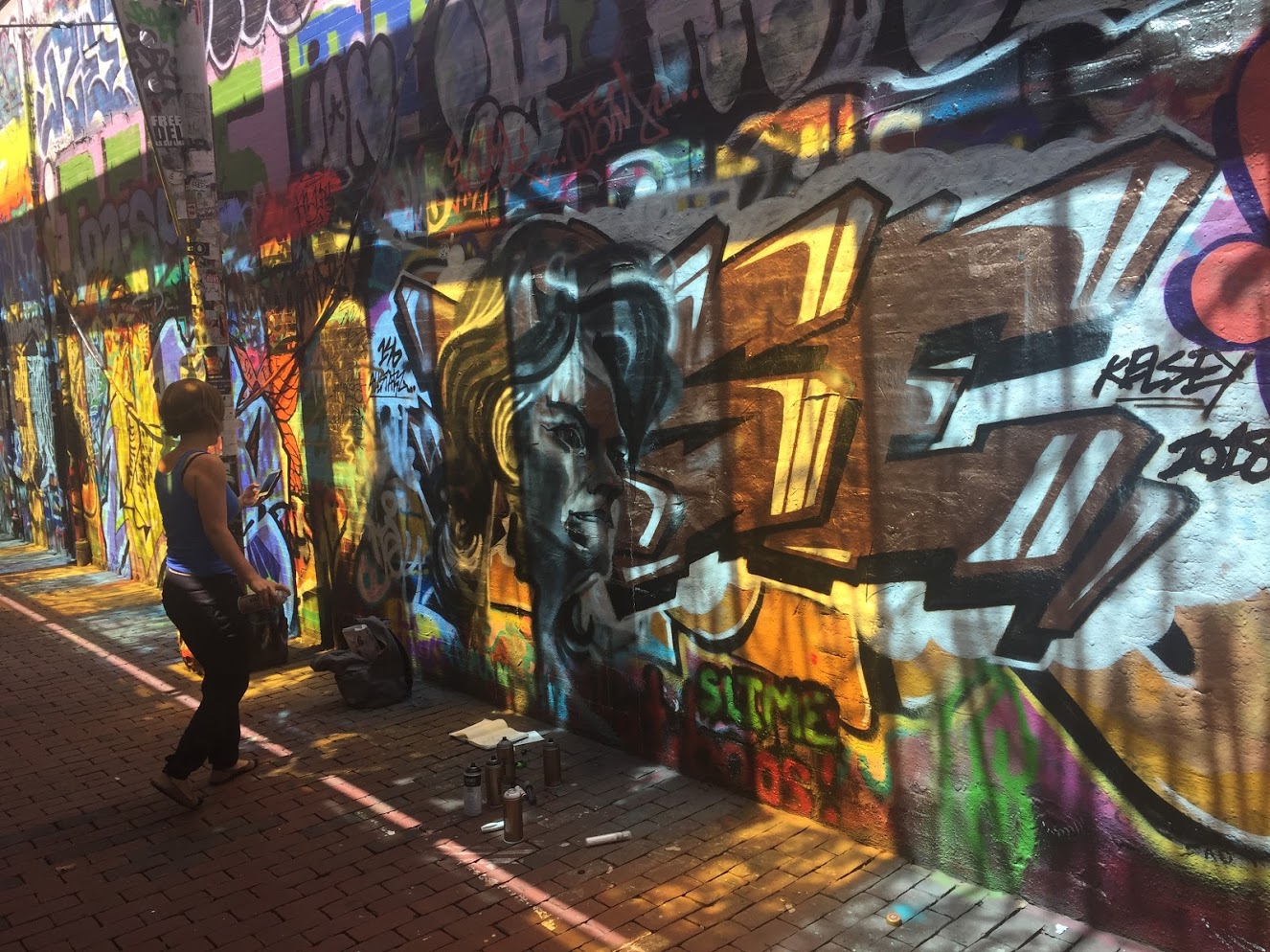 A graffiti artist polishing and admiring her labor in Graffiti Alley in Central Square, Cambridge, Massachusetts, 2018. —photo Tanbou.